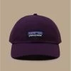 Patagonia P6 Label Trad Cap Night Plum